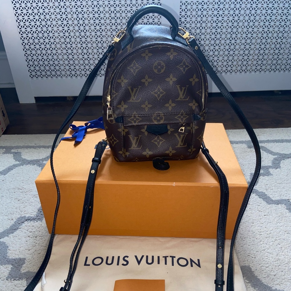 Louis Vuitton Palm Springs Mini Backpack